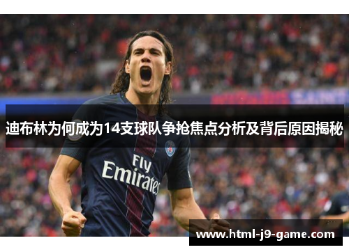 迪布林为何成为14支球队争抢焦点分析及背后原因揭秘