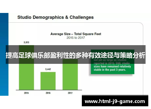 提高足球俱乐部盈利性的多种有效途径与策略分析 提高足球俱乐部盈利性的多种有效途径与策略分析